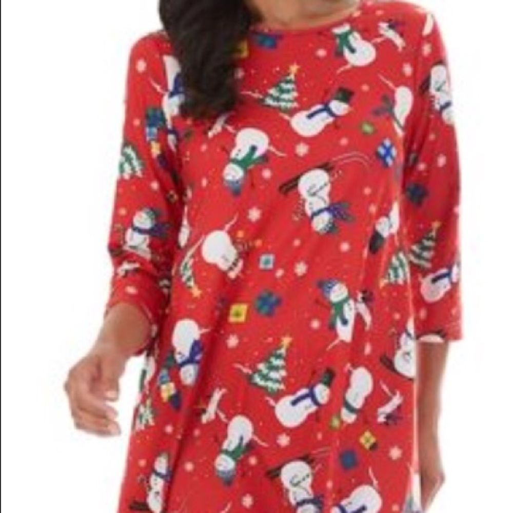 Dress Works snowman swing dress